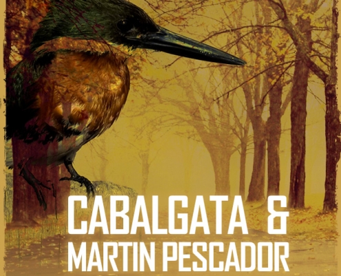 Cabalgata - Gráfica de Difusión