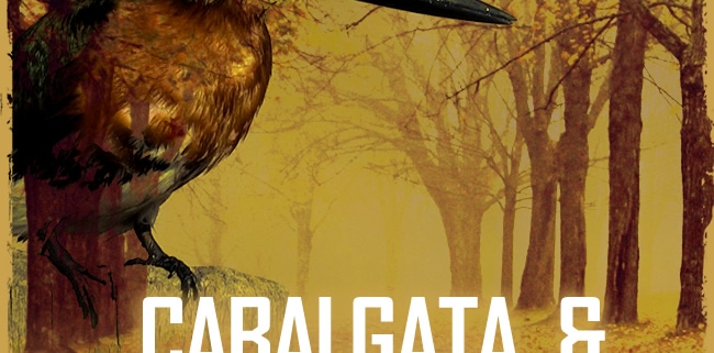 Cabalgata - Gráfica de Difusión