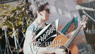 Cocholgue - Diseño de sitio web