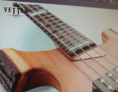 Vettan – Diseño web Vettan